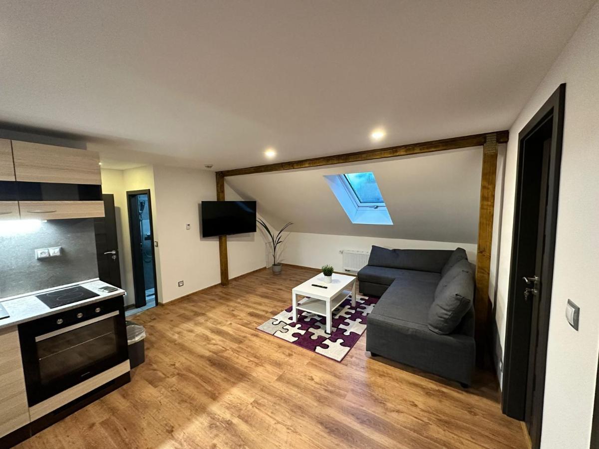 Apartmany Krenov Bernsdorf المظهر الخارجي الصورة